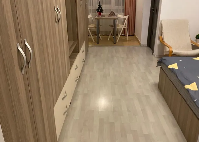 Garsoniera 430 公寓 *