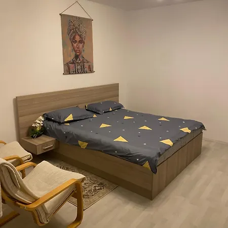 Apartment Garsoniera 430