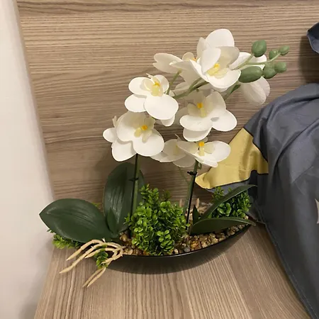 Apartmán Garsoniera 430 Bukurešť