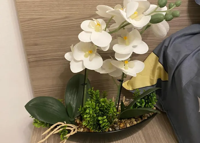 Apartmán Garsoniera 430 Bukurešť